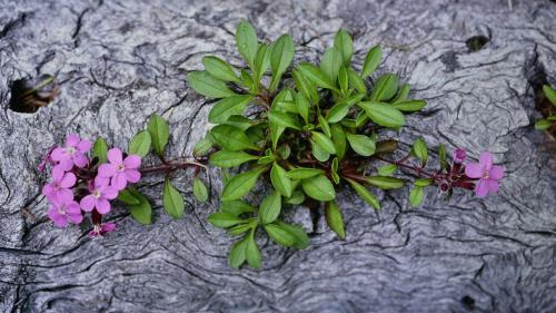 Foto: Jürg Baeder