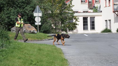 Bluthund Jason führt sein Herrchen in Richtung des Vermissten. Jeder Mensch besitzt einen einzigartigen Geruch, welcher der Hund riechen und von anderen Gerüchen differenzieren kann. Foto: Nicolas Binkert