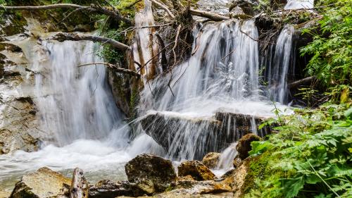 Der ökologische Zustand vieler kleiner Gewässer in der Schweiz ist ungenügend. Foto: Daniel Zaugg