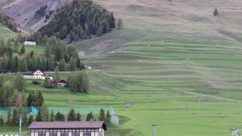 La Val Urezza a Zuoz. A dretta as rechatta il territori Arettas, inua ch’ün luf ho chaschuno la mort da set bês-chs  la fin d’eivna passeda (fotografia: Martin Camichel).