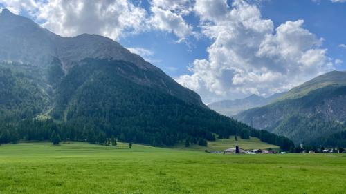 Auf der Ebene am Waldrand hätte das Tierferienheim zu stehen kommen sollen. Foto: Fadrina Hofmann