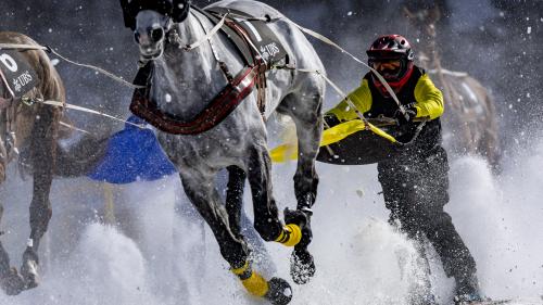 Das Sicherheitsgeschirr minimiert das Risiko. Foto: White Turf