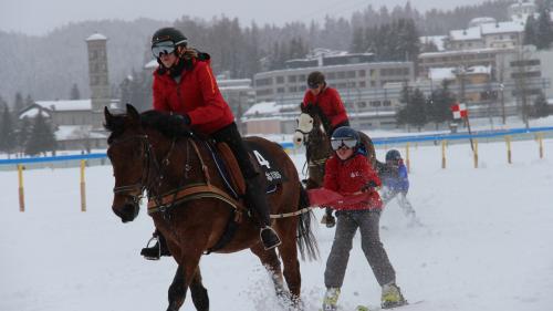 Skikjöring ist die grosse Attraktion am Family Day. Foto: Julia Biffi