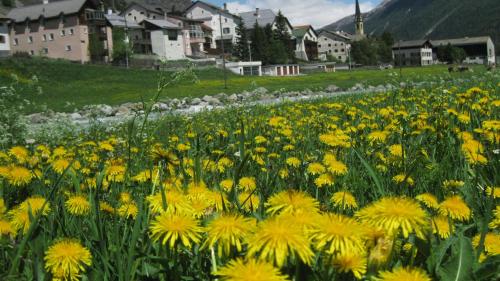 S-chanf beteiligt sich an die neue Tourismusorganisation (Foto: Gemeinde S-chanf).