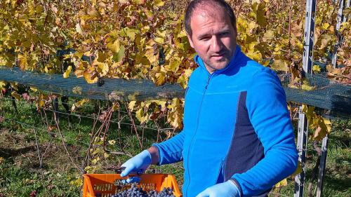 Marcel Zanolari hat den elterlichen Weinbaubetrieb über 19 Jahre hinweg auf biodynamische Produktion umgestellt. Foto: Weinhaus La Torre