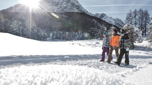 Eir d’inviern fan blers giasts da la destinaziun Engiadina Scuol Samignun Val Müstair spassegiadas e giodan la bella natüra. (fotografia: Andrea Badrutt)