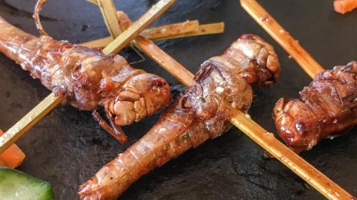 Die Europäische Wanderheuschrecke ist vorderhand eine von drei in der Schweiz für den menschlichen Verzehr zugelassene Insektenart. Hier in gegrillter Form als Apérospiess, gereicht mit Gemüsedekoration und Weisswein im Bergrestaurant La Motta auf Motta N