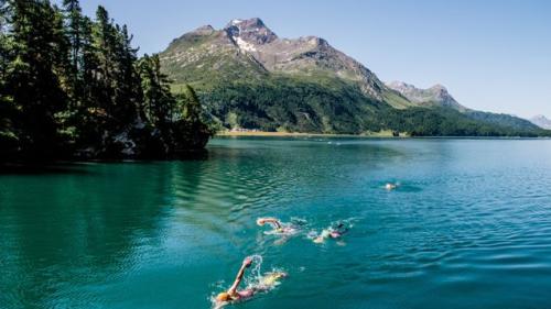 Im Silsersee unterwegs beim Engadin Swimrun / Foto pd