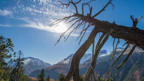 Foto: Schweizerischer Nationalpark