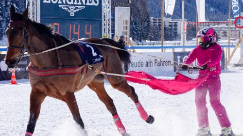 Zieleinlauf von Valeria Holinger auf «Usbekia» im Skikjöring. Foto: Jon Duschletta