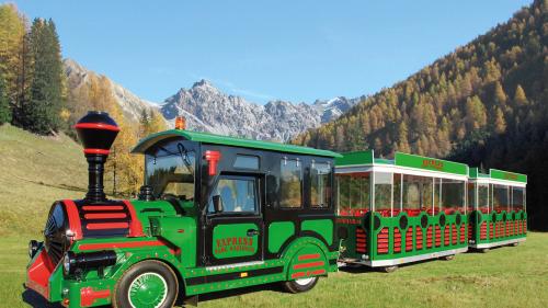 Der neue Bummelzug, der von Juni bis Oktober auf der Strecke S-chanf–Varusch-Hütte anzutreffen sein wird.