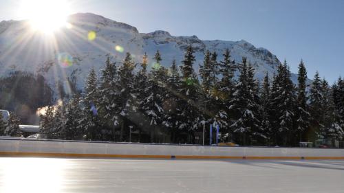 Vier professionelle Eishockey-Teams spielen im Februar in St. Moritz am «All Saint Cup». (Foto: Muriel Wolfisberg)