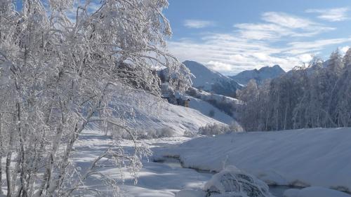 La naiv frais-cha chi ha dat ingon e’l brantern han transmüdà la riva dal Rom in Val Müstair (fotografia: mad).