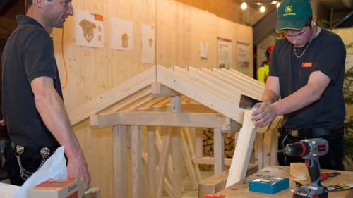 Dürant l’EBexpo in avrigl a Scuol ha lö ün’exposiziun separada da manster (fotografia: Foto Taisch Scuol).