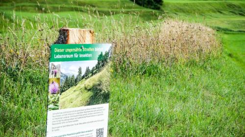Die Bündner Landwirtschaft will und soll aus eigener Kraft klimaneutral werden. Das bedingt Mut, Unternehmergeist und praxistaugliche Ideen. Foto: Jon Duschletta
