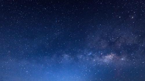 Foto: shutterstock.com/Thammanoon Khamchalee