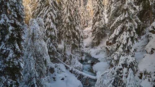 Idilla d’inviern sco quia illa Val Clemgia - na plü uschè tipic sco avant ün 20, 30 ons. fotografia: Michael Steiner