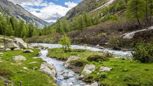 Der Beverin ist ausgezeichnet worden - als besonders schützenswertes Gewässer. Foto: Daniel Zaugg