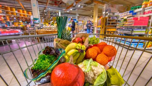 Foto: shutterstock.com/Rudmer Zwerver