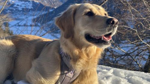 Winter ist die Lieblingsjahreszeit von Emma. Foto: Anna Hartmann