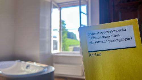 Ein Besuch auf der St. Petersinsel am Bielersee gibt Gelegenheit, sich auch mit Jean-Jacques Rousseau auseinanderzusetzen. Beispielsweise seinen fünften Spaziergang aus den "Träumereien eines einsamen Spaziergängers" zu lesen. Foto: Jon Duschletta